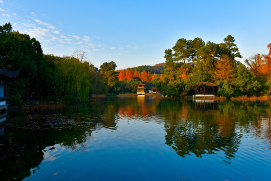 湖边水景 树林倒影