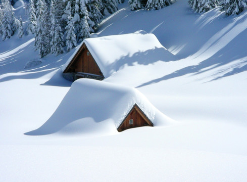 雪景 雪地