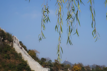 杨柳 小长城 青岩古镇