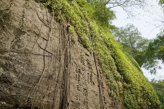 钓鱼城摩岩题刻