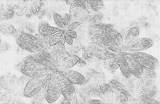 黑白葉子素描