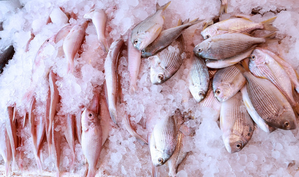 海鲜食材