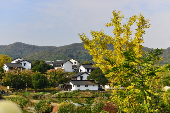 石塘人家