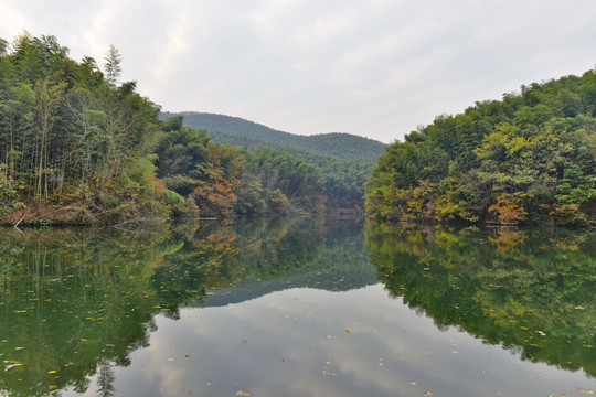 石塘竹海