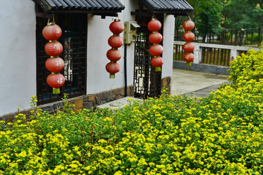 石塘人家