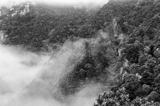 黑白廬山風光