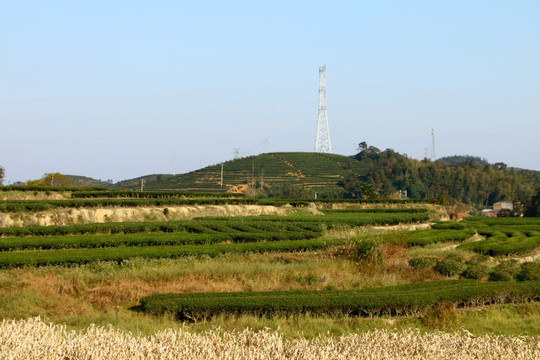 长龙风景