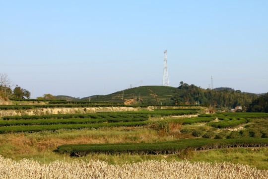 长龙风景