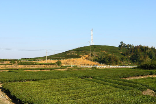 长龙风景