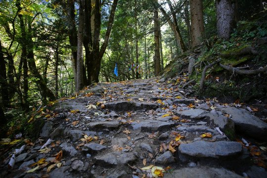 德欽縣雨崩村朝圣之路