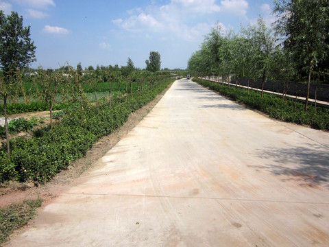 乡村道路硬化 乡间道路