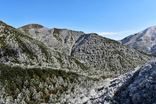 雪山 山林