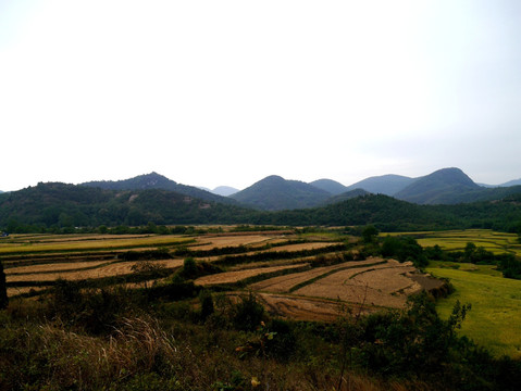 山区农田