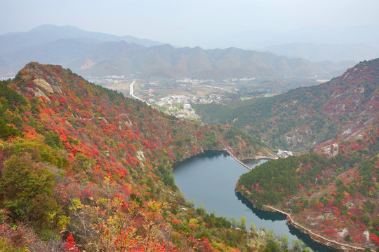 山里红叶