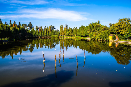 云南民族村湖景