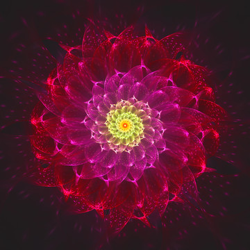 幻彩花紋