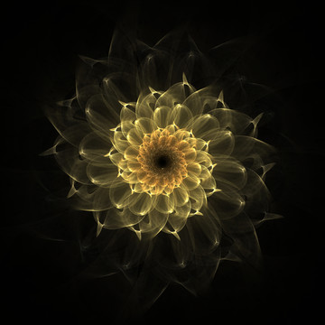 幻彩花紋