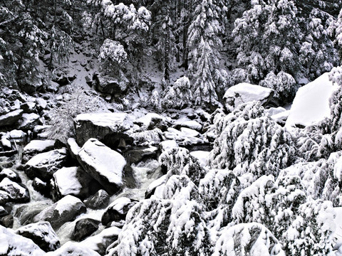 冰天雪地