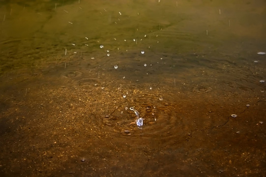 下雨 雨滴 涟漪