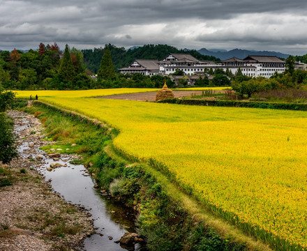 花麦地 国清寺