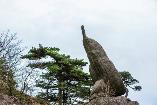 黄山奇石