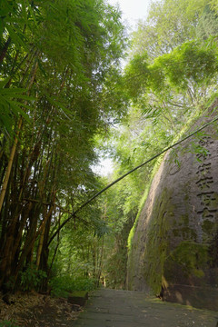 钓鱼城摩岩题刻