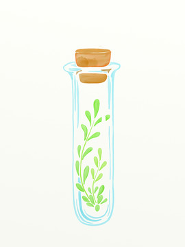 水彩靜物畫花卉綠葉