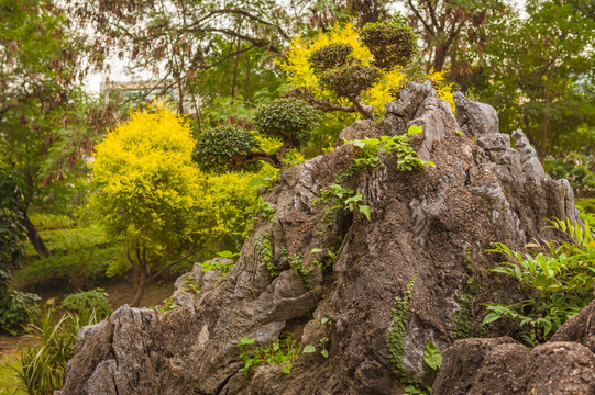 台湾阿里山 微缩景观