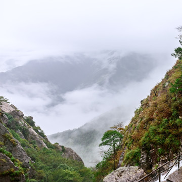 廬山云霧