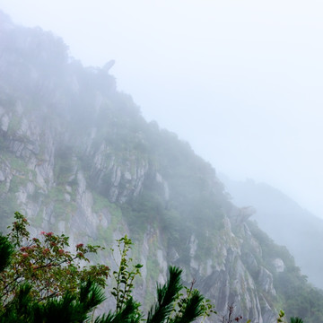 霧中廬山