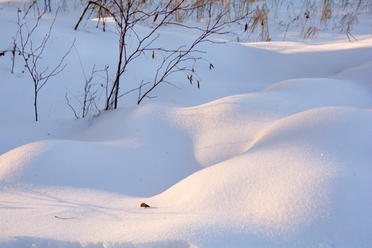 洁白冬雪