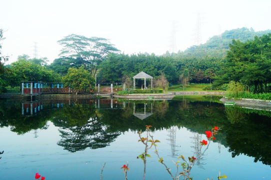 深圳寶安公園池塘美景