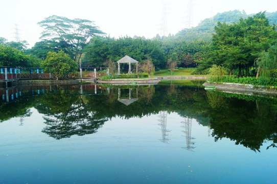 深圳宝安公园池塘美景