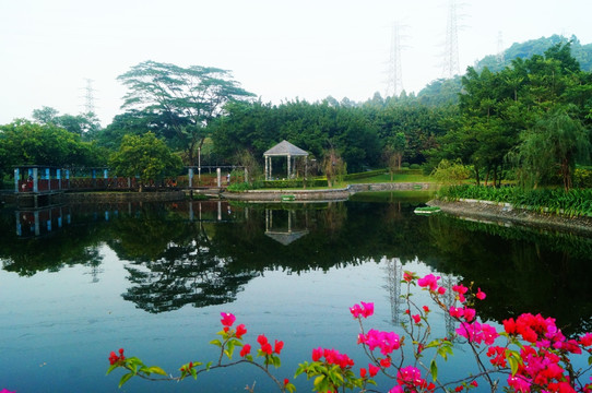 深圳宝安公园池塘美景