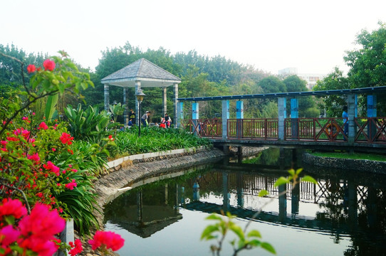 池塘涼亭美景