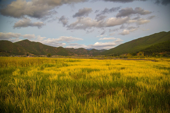 凉山泸沽湖景区走婚桥