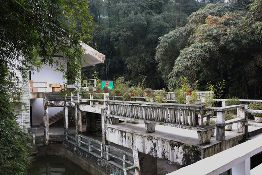 蜀南竹海 竹海博物馆