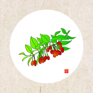手繪枸杞