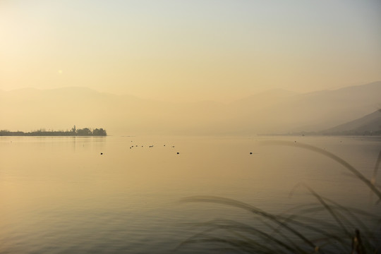 黄色的海景