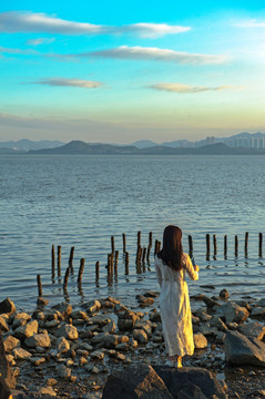 看海 深圳湾