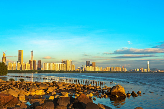 深圳湾夕照 海滩 乱石滩