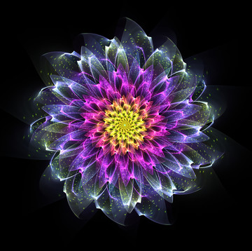 絢麗花紋