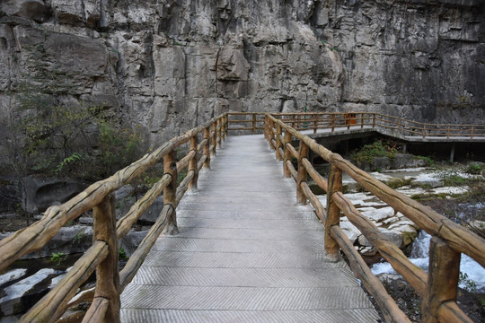 旅游区 步道