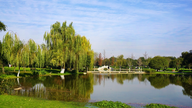 橘子洲公园景区