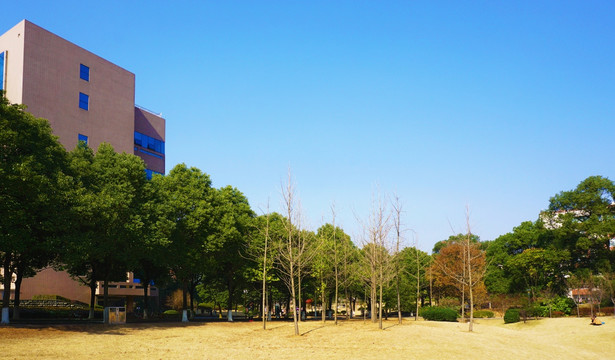 湖南农大校园风景