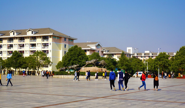 湖南农大校园风景