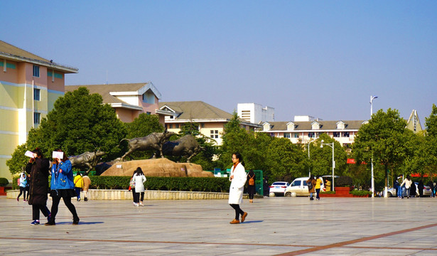 湖南农大校园风景