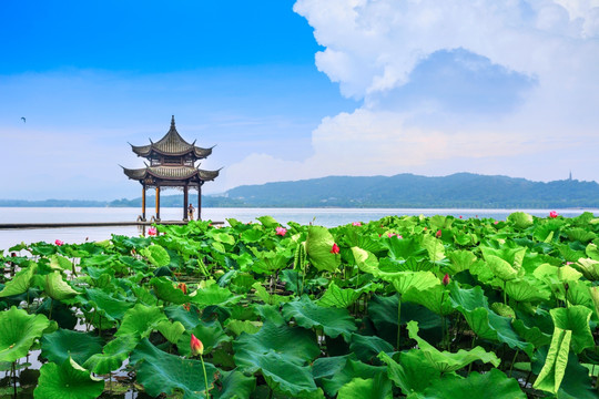 高清 杭州西湖风光