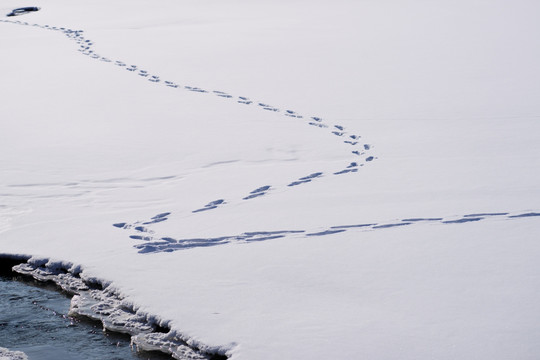 雪