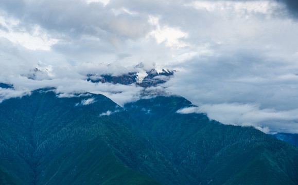 高山 森林植被 天空白云